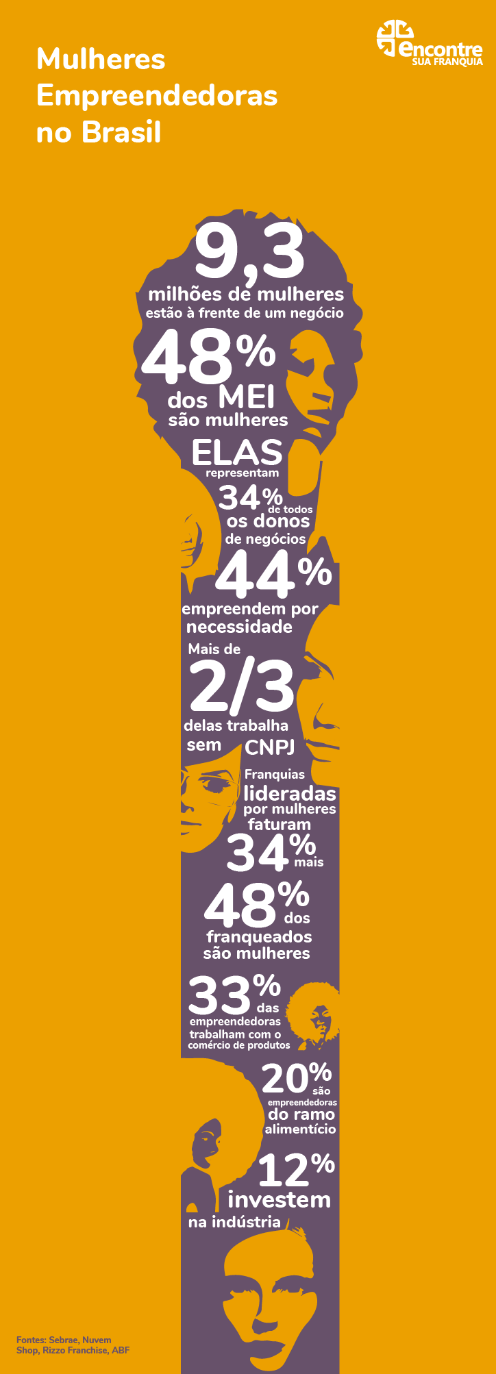 Infográfico sobre mulheres empreendedoras no Brasil